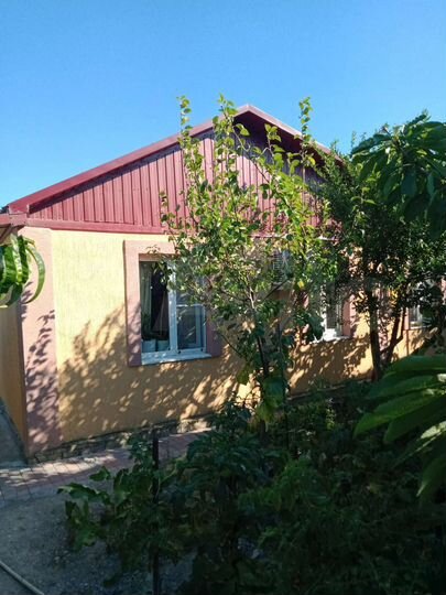 Дом 58 м² на участке 4,6 сот.