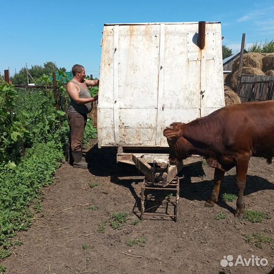 Прицеп для проживания или торговли