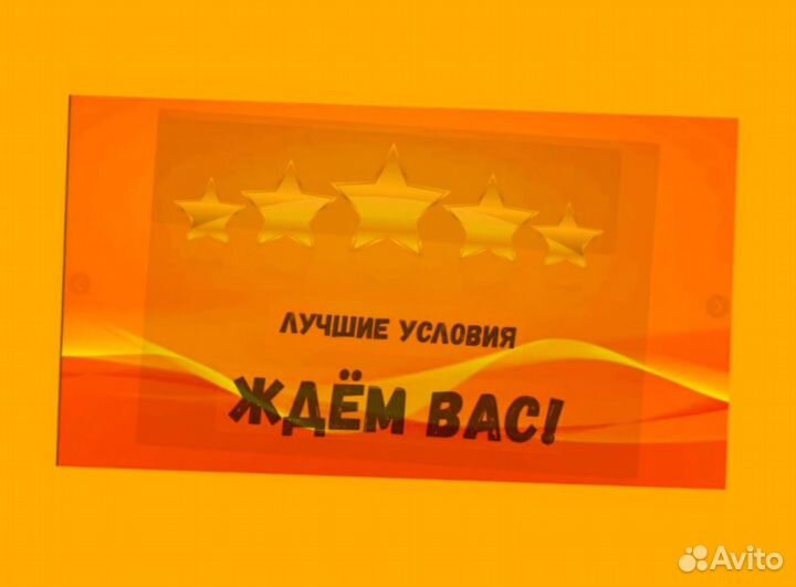 Оператор линии Выплаты еженедельно Без опыта М/Ж