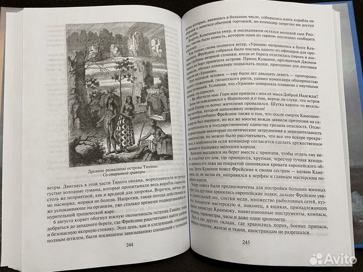 Жюль Верн Путешественники XIX века