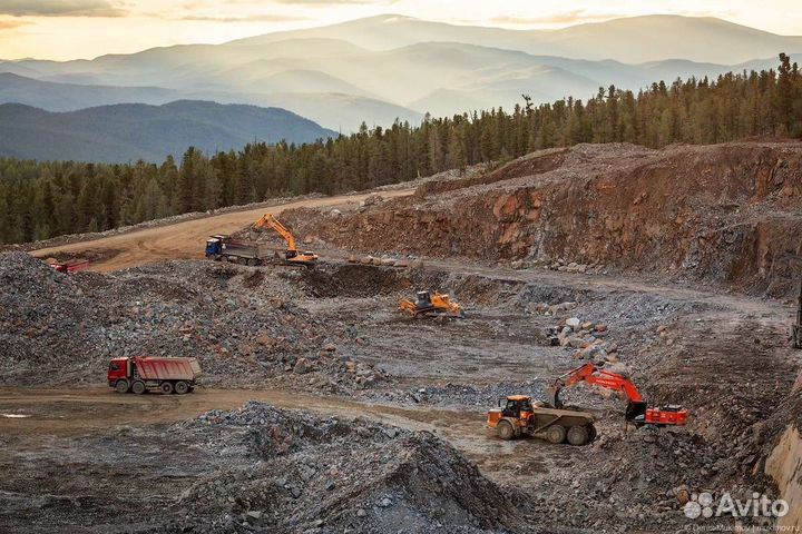 Бульдозерист