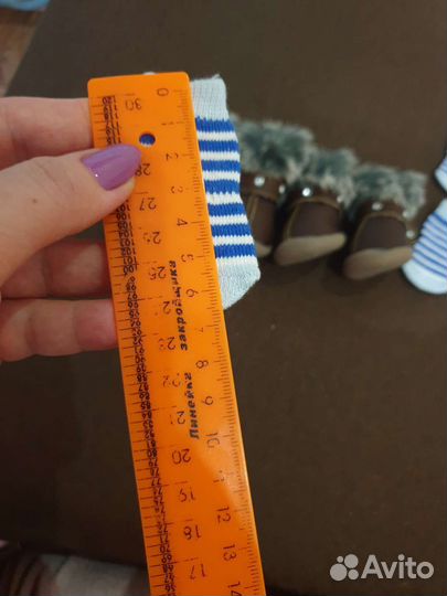 Одежда для собак мелких пород