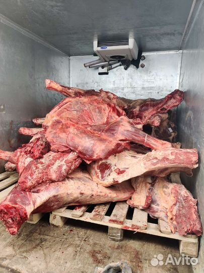 Мясо свинина