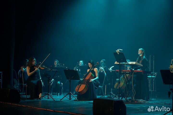 Музыкант. Скрипка-виртуоз. Соло, квартет, оркестр