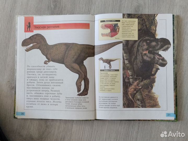 Книга Самые удивительные динозавры