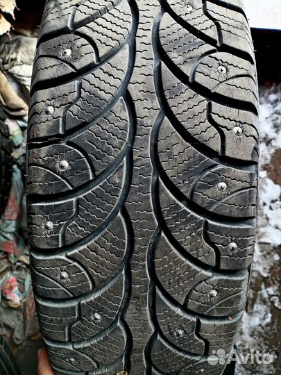 Rosava SnowGard 195/65 R15 88