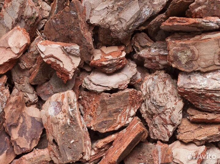 Кора сосновая