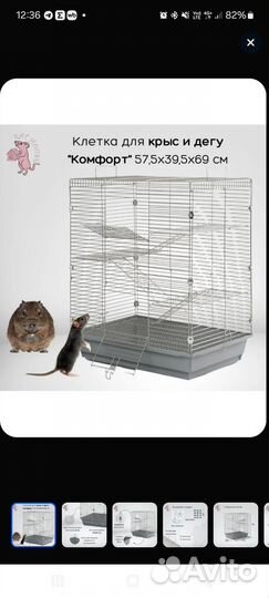 Клетка для грузынов