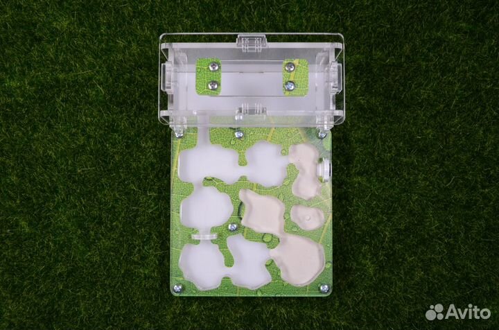 Муравьиная ферма с муравьями. Формикарий Старт+