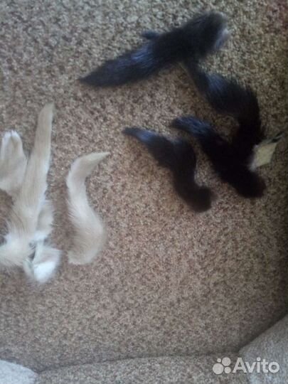 Хвостики норки