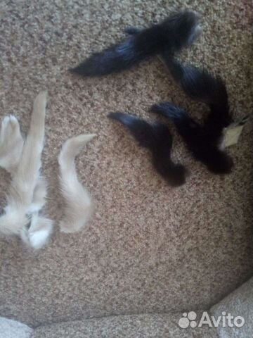 Хвостики норки