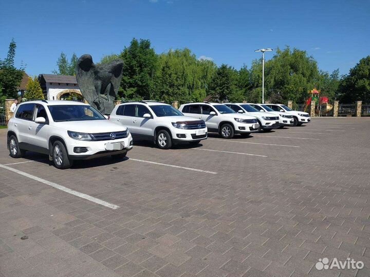 Пассажирские перевозки; трансфер; свадебные кортеж