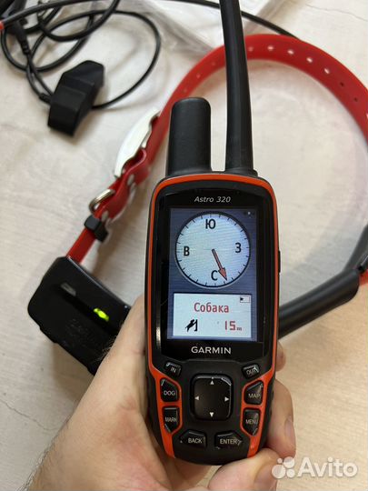 Навигатор Garmin Astro 320 с ошейником T5
