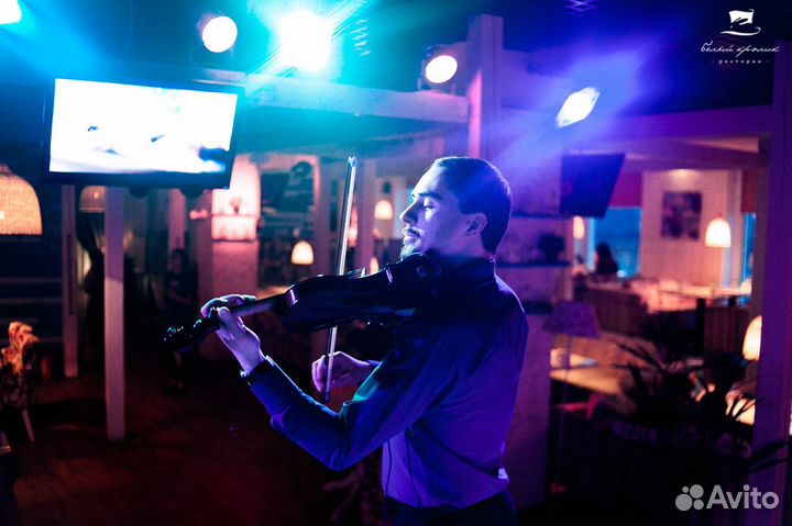 Живая музыка. Скрипач на праздник. Петрозаводск