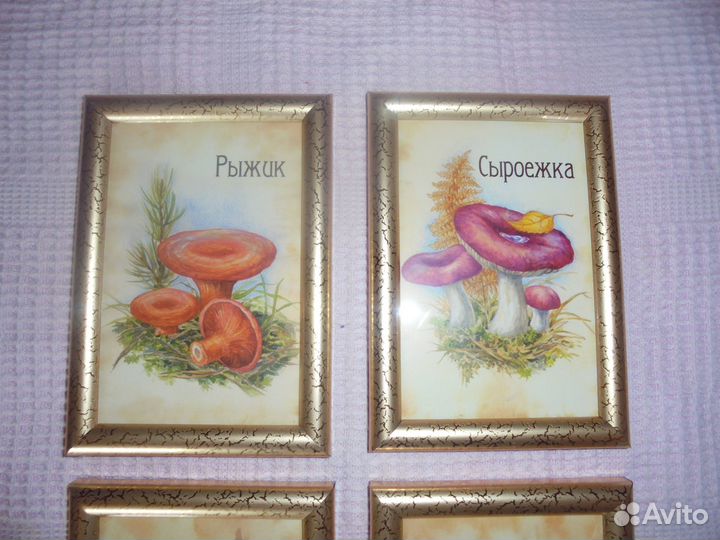 4 панно 12х17 золотая рамка стекло Грибы