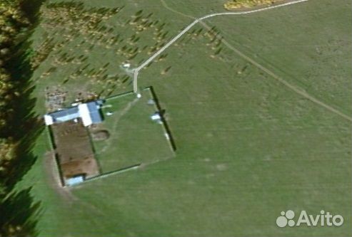 Животноводческая ферма продаю, торг