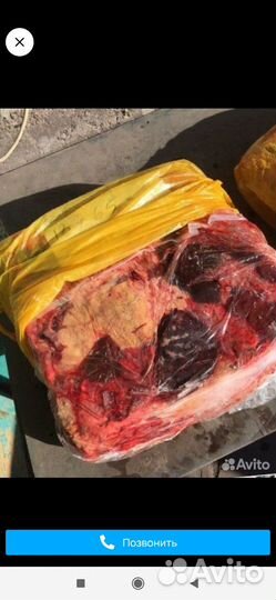 Корм для собак