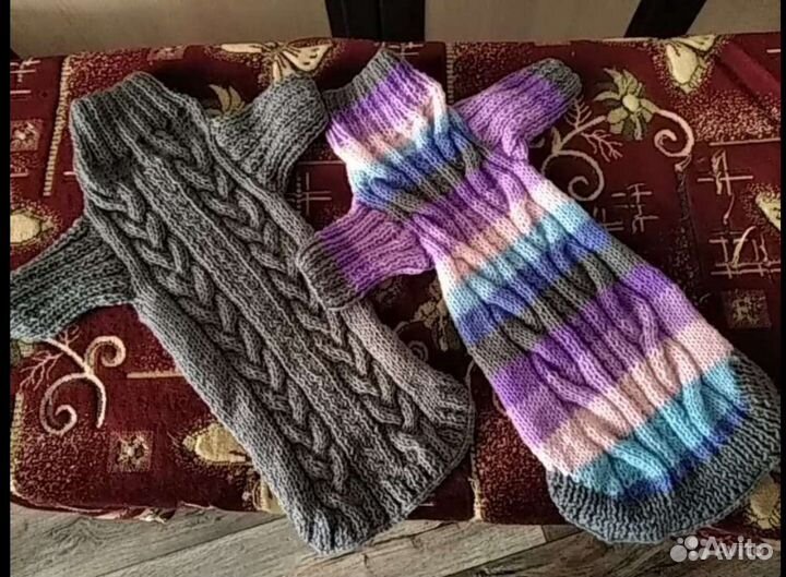 Одежда для животных