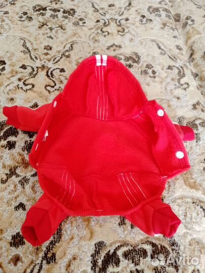 Спортивный костюм и пижама для маленькой собачки