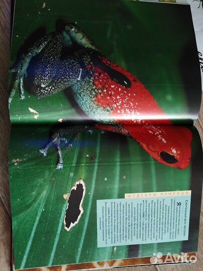 Книга позновательная