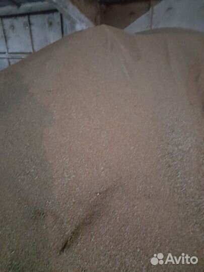 Продажа зерна