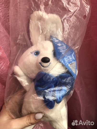 Заяц олимпийский