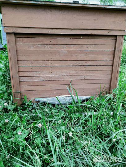 Пчелиный улей