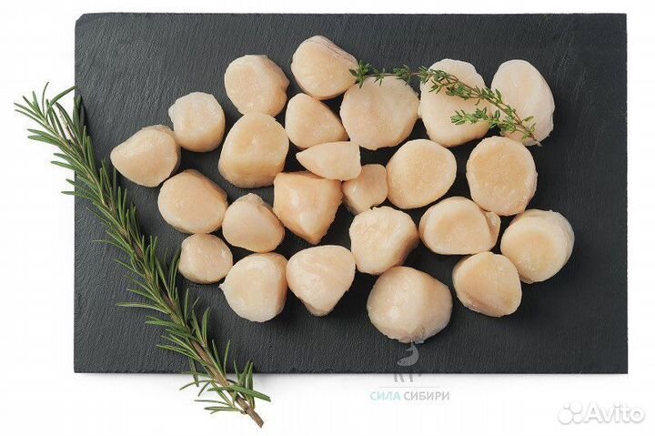 Гребешок курильский