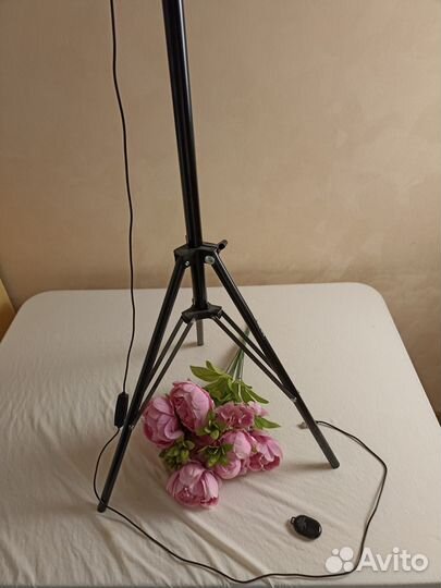 Кольцевая лампа со штативом 36см