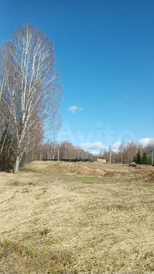 Участок 20 сот. (СНТ, ДНП)