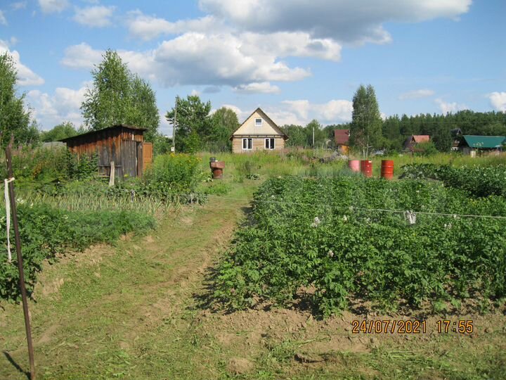 Участок 6 сот. (СНТ, ДНП)