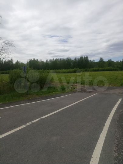 Участок 3,17 га (СНТ, ДНП)