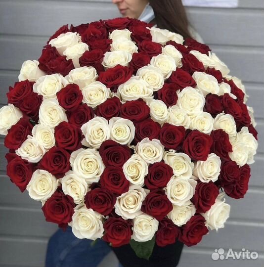 Розы 101 штука 70 см