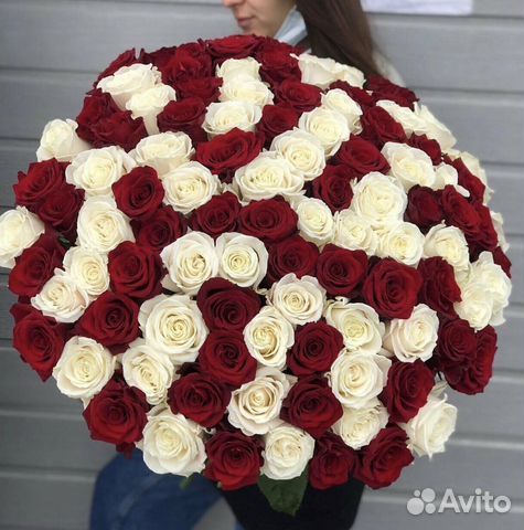 Розы 101 штука 70 см