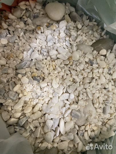 Грунт, фильтр и градусник