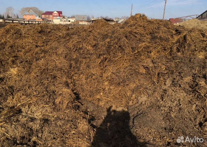 Перегной коровий