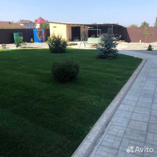 Рулонный газон, газон посевной