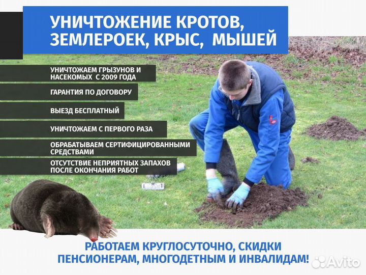 Уничтожение кротов клещей комаров ос борщевика