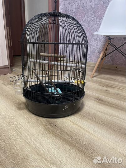 Клетка для птиц круглая