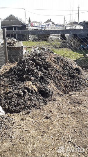 Куриный помёт