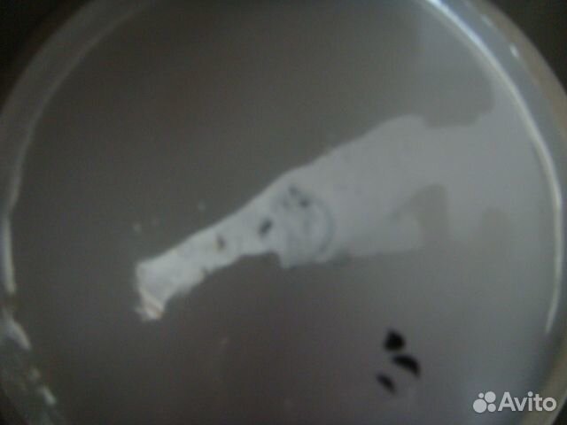 Чайники заварочные СССР