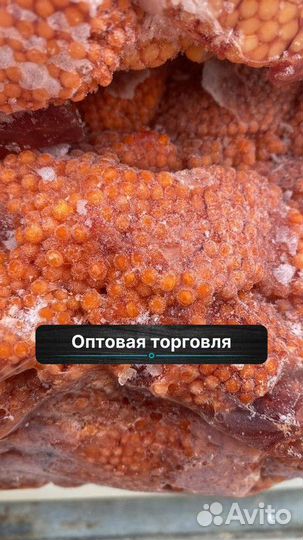 Ястык форели