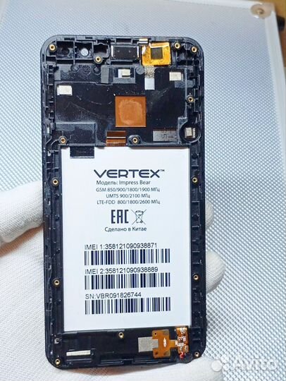 Vertex Impress Bear. Дисплей в рамке. Оригинал