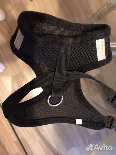 Шлейка для собаки