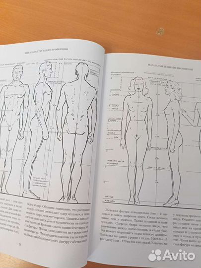 Книга Рисование фигуры