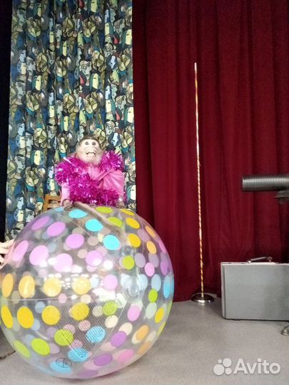 Выступление обезьянки