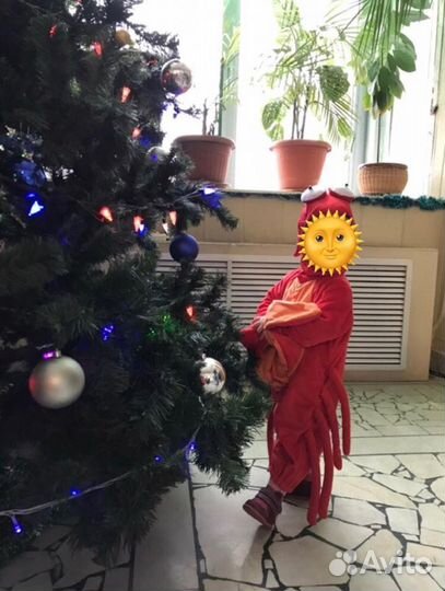 Костюм на 2года крабик