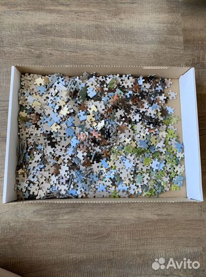 Пазлы с лошадьми (нарисована лошадь)