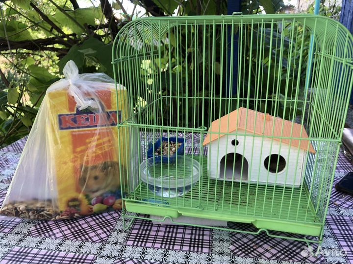 Хомяк с клеткой