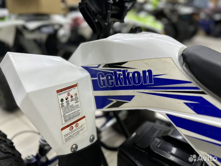 Электро квадроцикл E1300